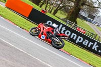 Oulton-Park-21st-March-2020;PJ-Motorsport-Photography-2020;anglesey;brands-hatch;cadwell-park;croft;donington-park;enduro-digital-images;event-digital-images;eventdigitalimages;mallory;no-limits;oulton-park;peter-wileman-photography;racing-digital-images;silverstone;snetterton;trackday-digital-images;trackday-photos;vmcc-banbury-run;welsh-2-day-enduro